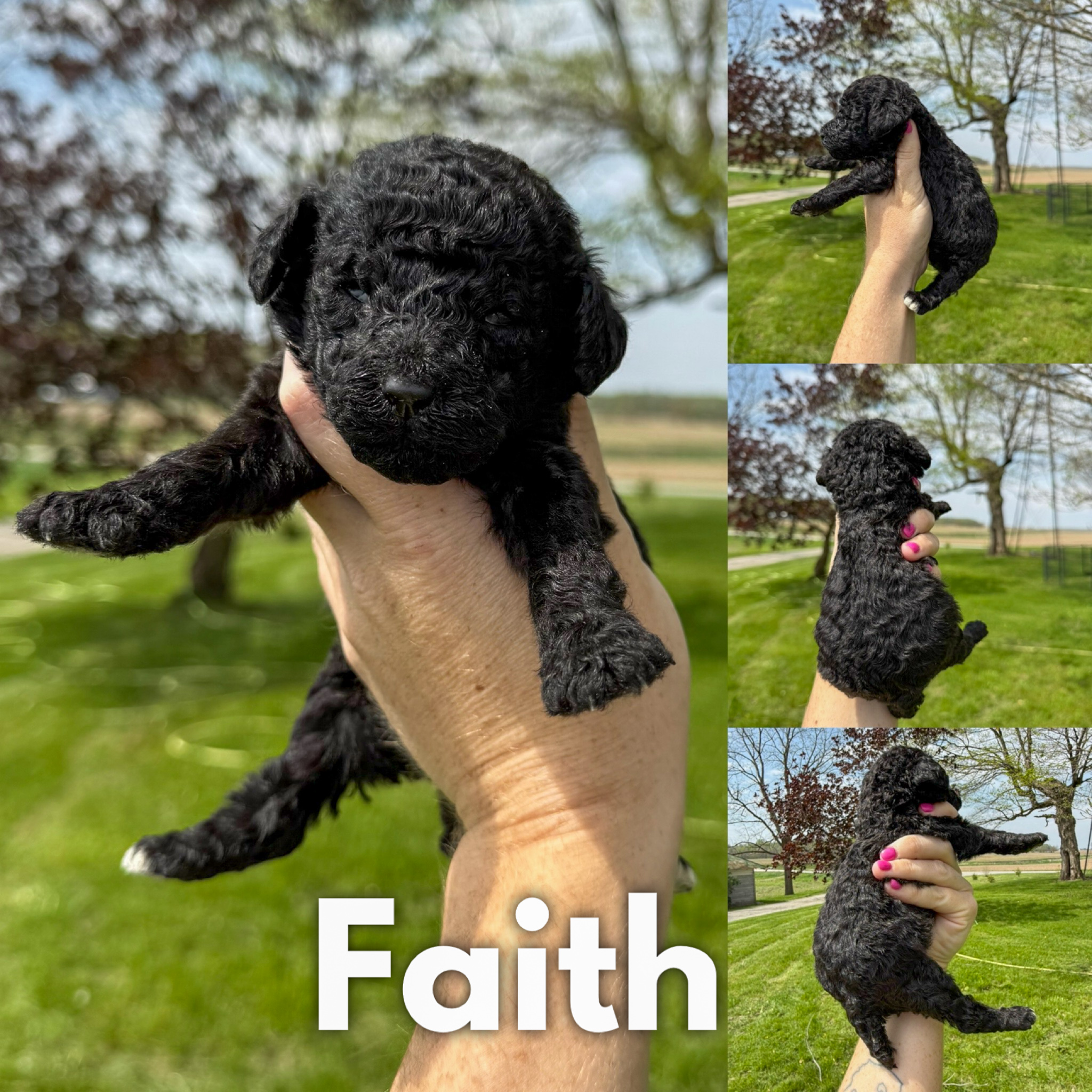 Faith 1